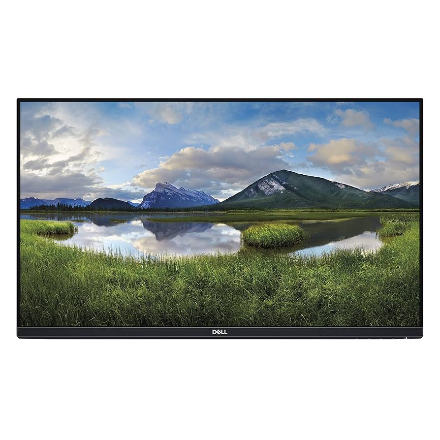 Amazon.com: Dell P2419H 24-inch Computer Monitor HD LED